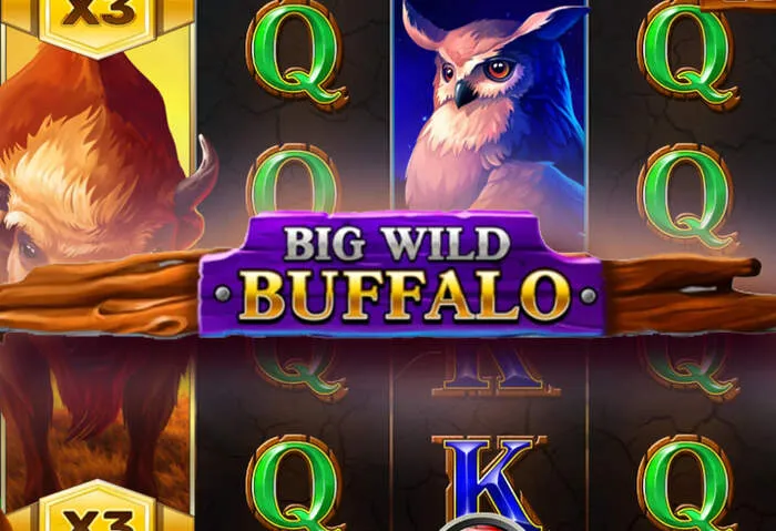 Interface utilisateur intuitive du Fraga casino site officiel.