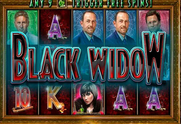 Ajuda profissional em Fraga Casino Contatos de Suporte ao Cliente.